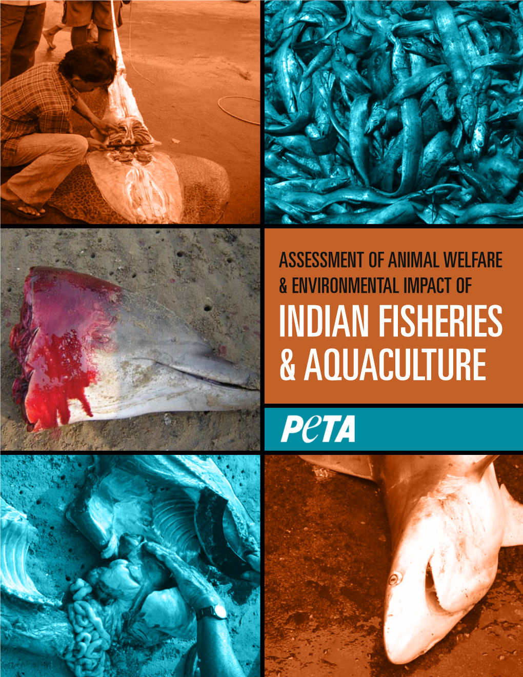 Indian Fisheries & Aquaculture
