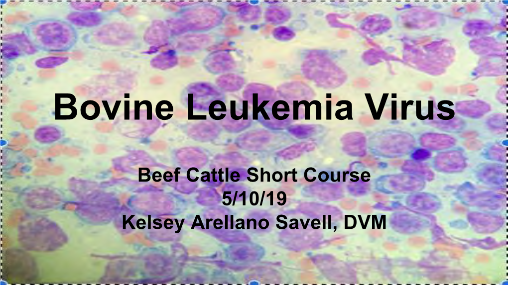 Bovine Leukemia Virus