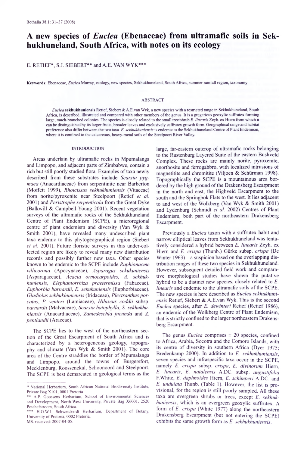 A New Species of Euclea (Ebenaceae) from Ultramafic Soils in Sek- Hukhuneland, South Africa, with Notes on Its Ecology