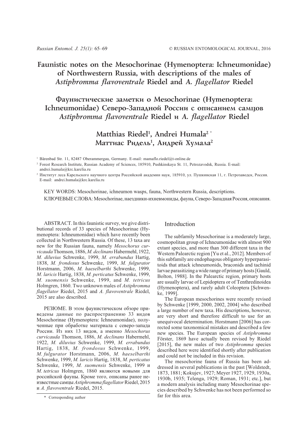 Hymenoptera: Ichneumonidae) of Northwestern Russia, with Descriptions of the Males of Astiphromma Flavoventrale Riedel and A