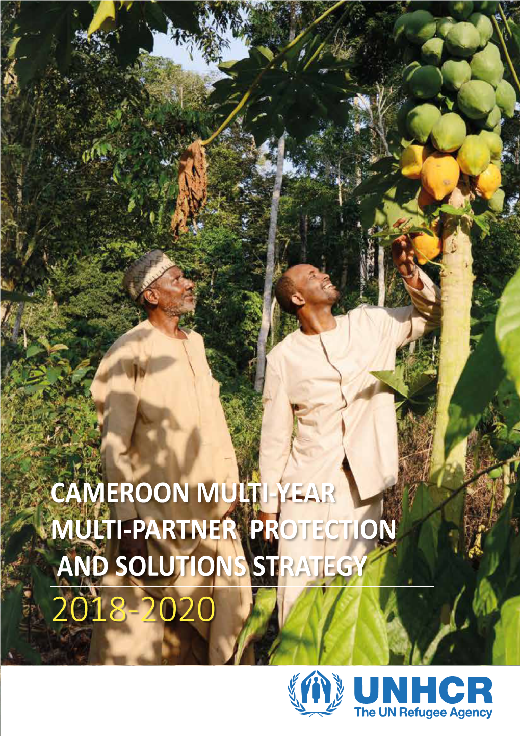 Cameroon Multi-Year Multi-Partner Protection and Solutions Strategy 2018-2020
