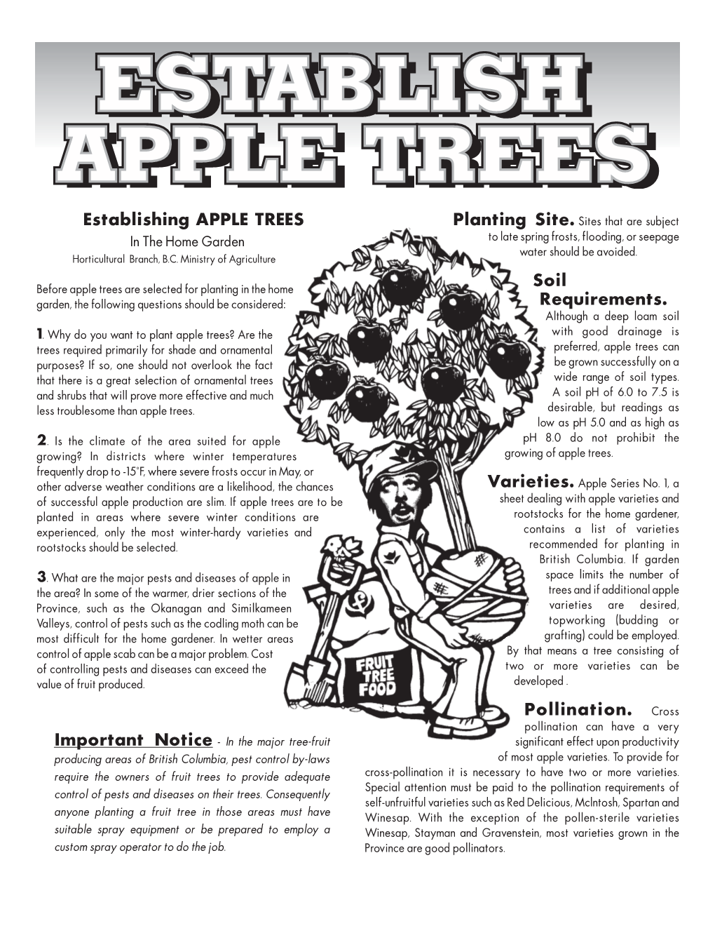 Establishing APPLE TREES Planting Site