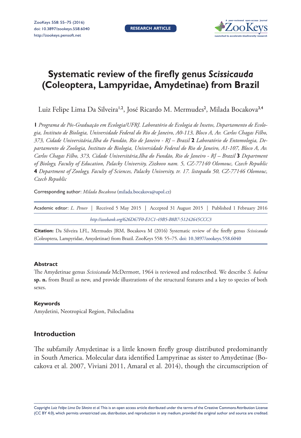 Systematic Review of the Firefly Genus Scissicauda (Coleoptera, Lampyridae, Amydetinae) from Brazil