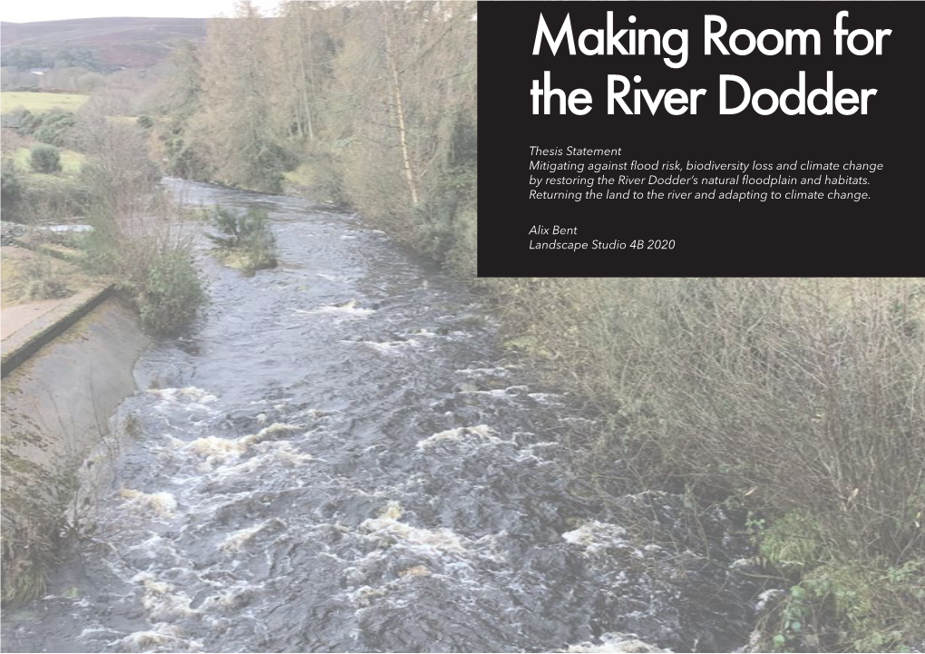 Making Room for the River Dodder