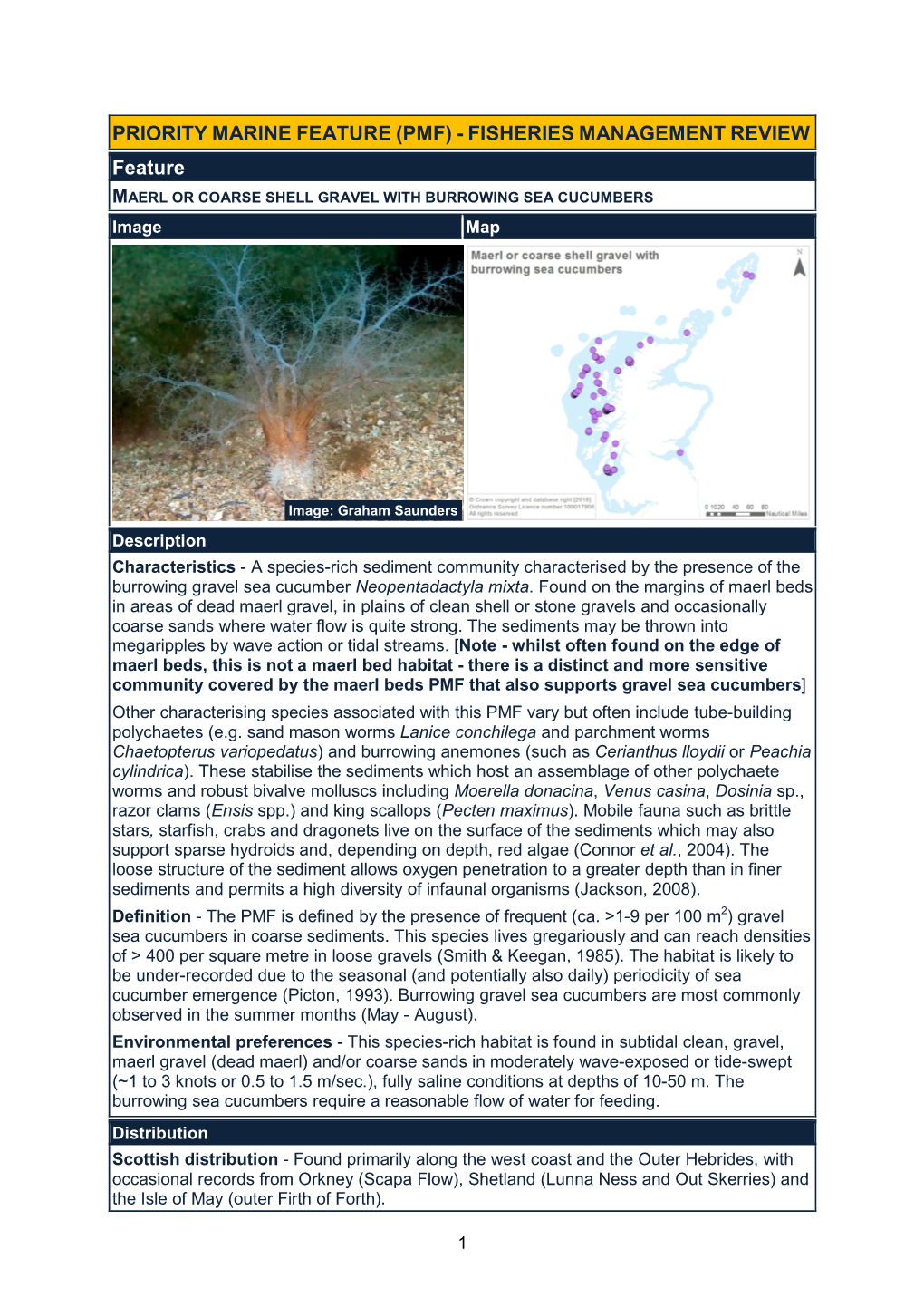 MAERL OR COARSE SHELL GRAVEL with BURROWING SEA CUCUMBERS Image Map