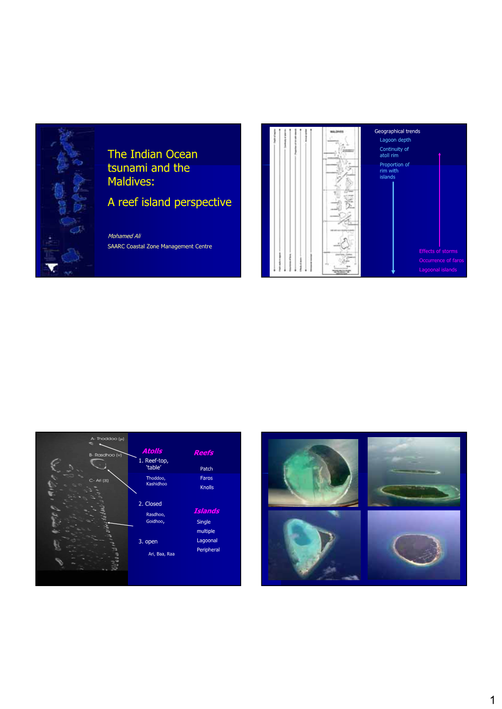 1 the Indian Ocean Tsunami and the Maldives: a Reef Island Perspective