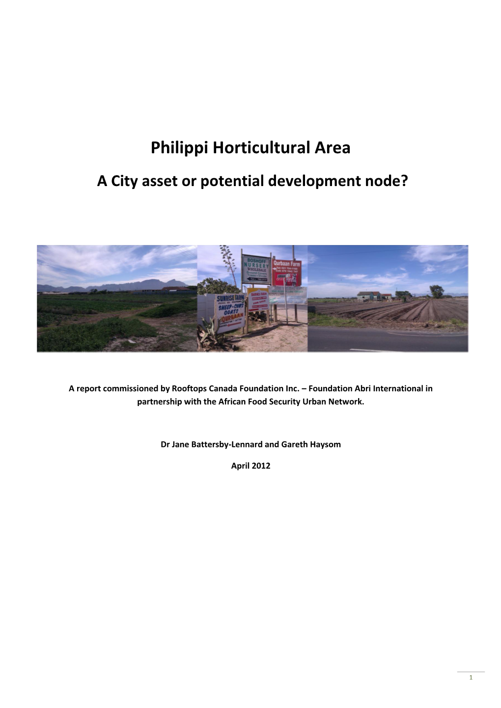 Philippi Horticultural Area a City Asset Or Potential Development Node?