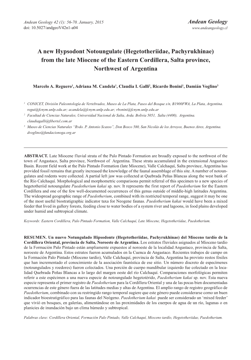 A New Hypsodont Notoungulate (Hegetotheriidae, Pachyrukhinae) from the Late Miocene of the Eastern Cordillera, Salta Province, Northwest of Argentina