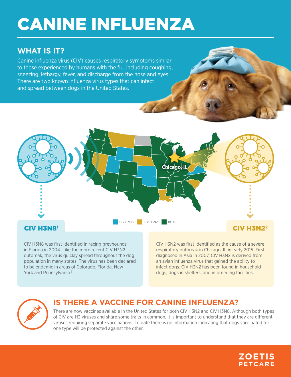 Canine Influenza