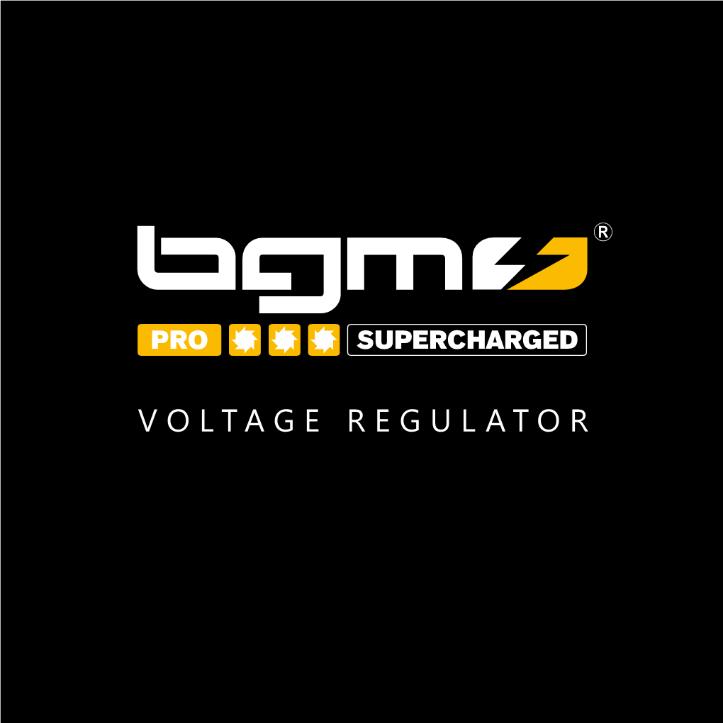 VOLTAGE REGULATOR BGM VOLTAGE REGULATOR – 4-Plug 12V AC/DC