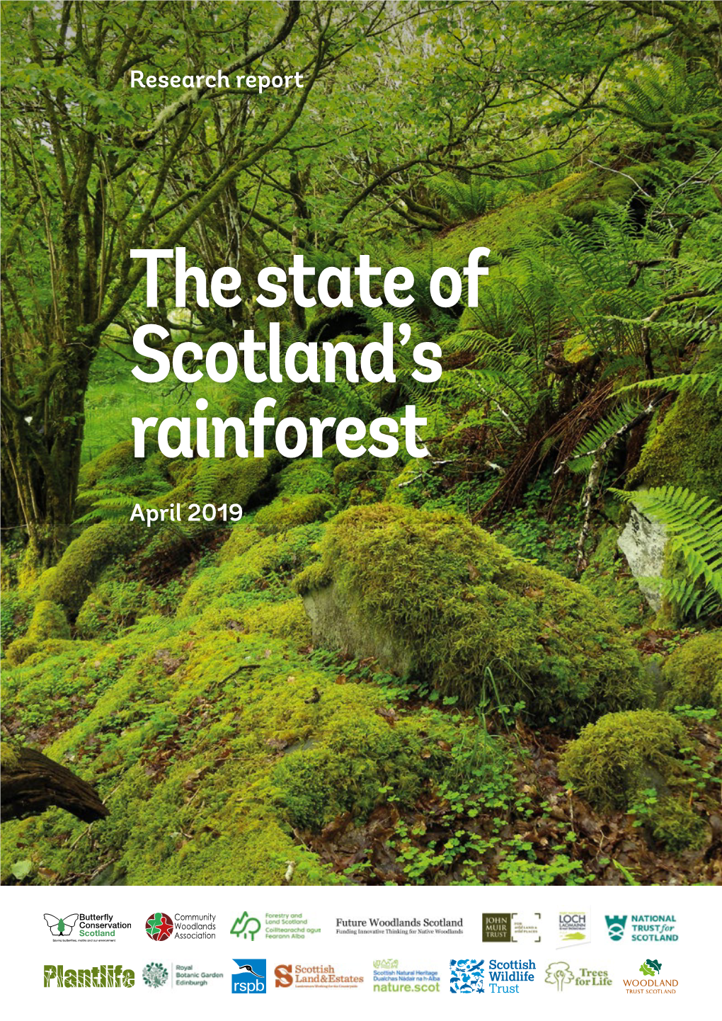 Scotland's Temperate Rainforest