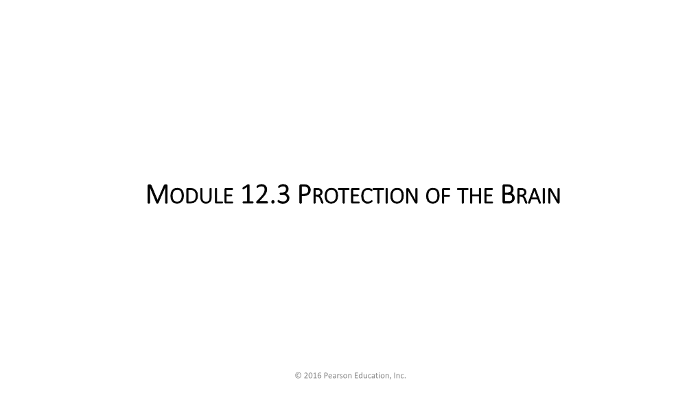 Module 12.3 Protection of the Brain