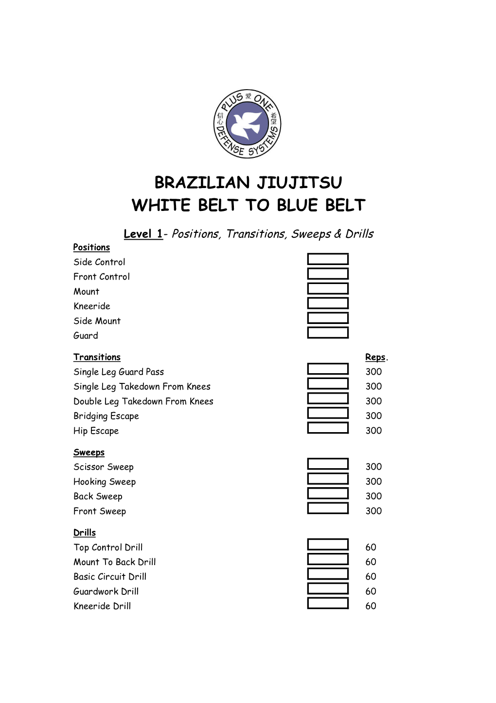 Brazilian Jiujitsu White Belt to Blue Belt