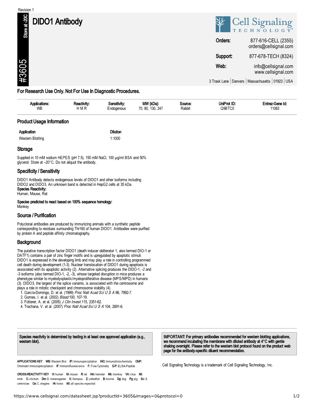 DIDO1 Antibody A