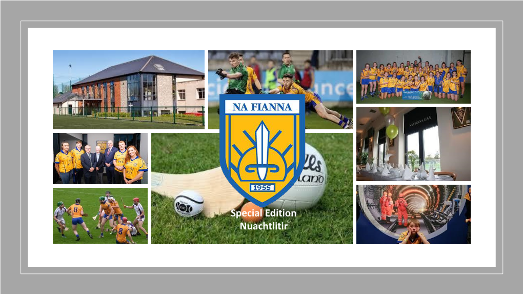 Special Edition Nuachtlitir Na Fianna’S Corporate & Charity Lunch, in Partnership with St