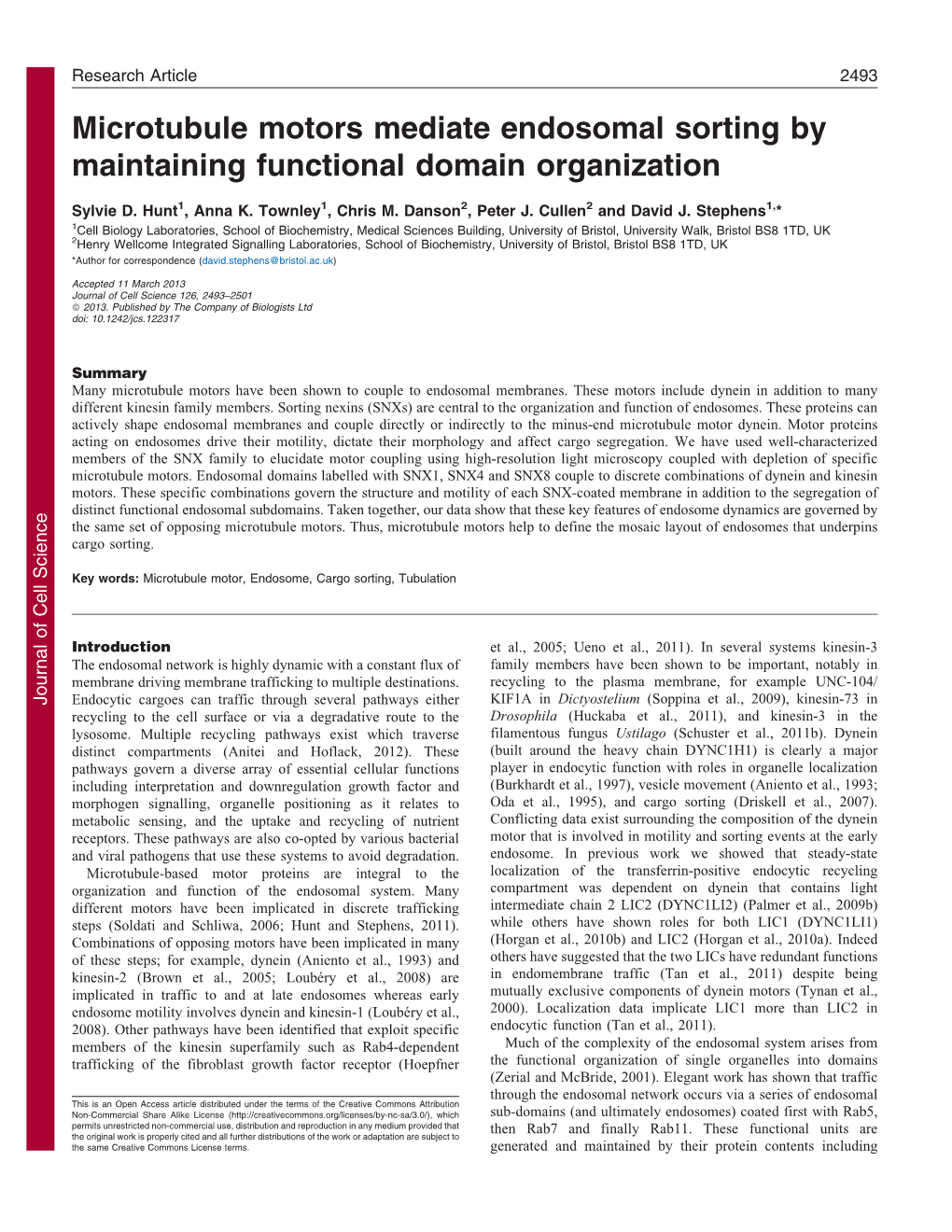 Microtubule Motors Mediate Endosomal Sorting by Maintaining