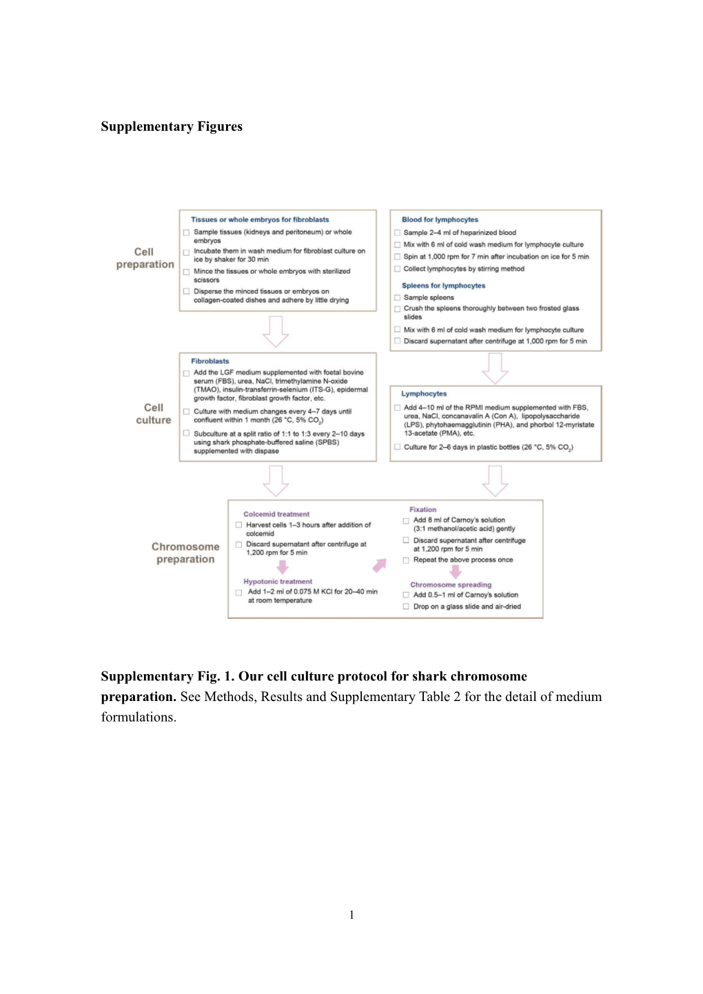 Supplementary Figures Supplementary Fig. 1. Our Cell