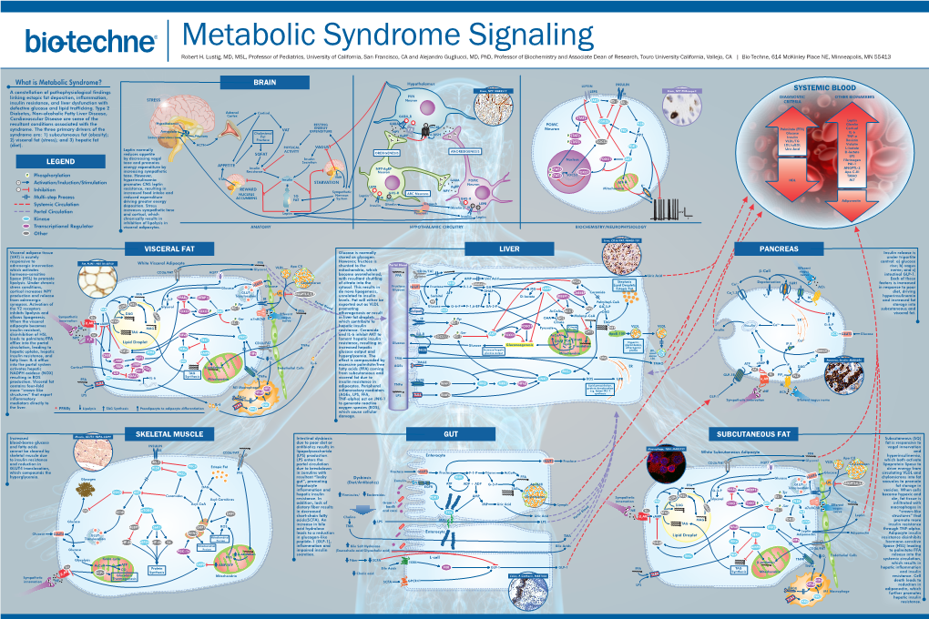 Metabolic Syndrome Signaling Robert H