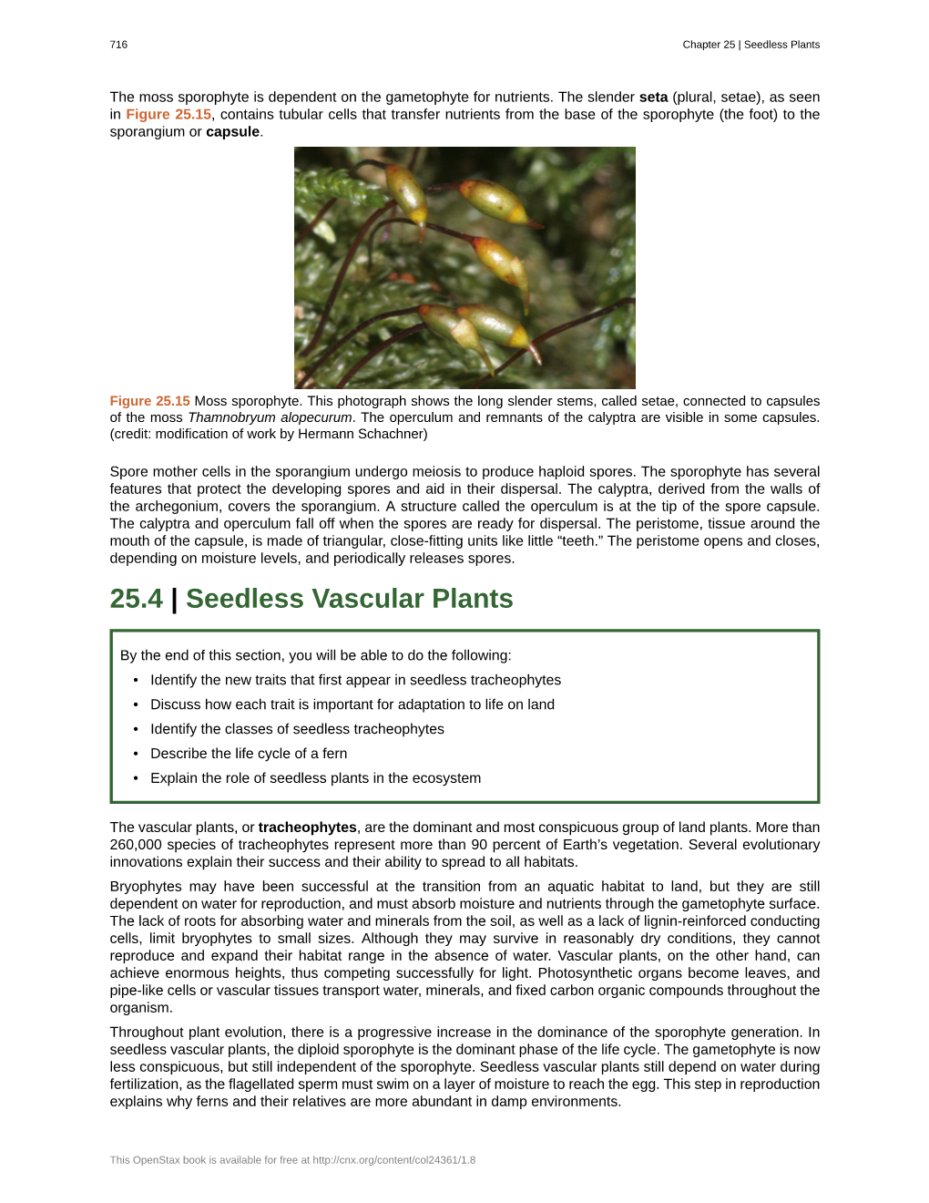 Seedless Vascular Plants