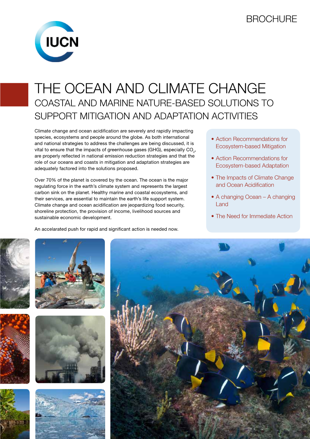 THE OCEAN and CLIMATE CHANGE Coastal and Marine Nature-Based Solutions to Support Mitigation and Adaptation Activities