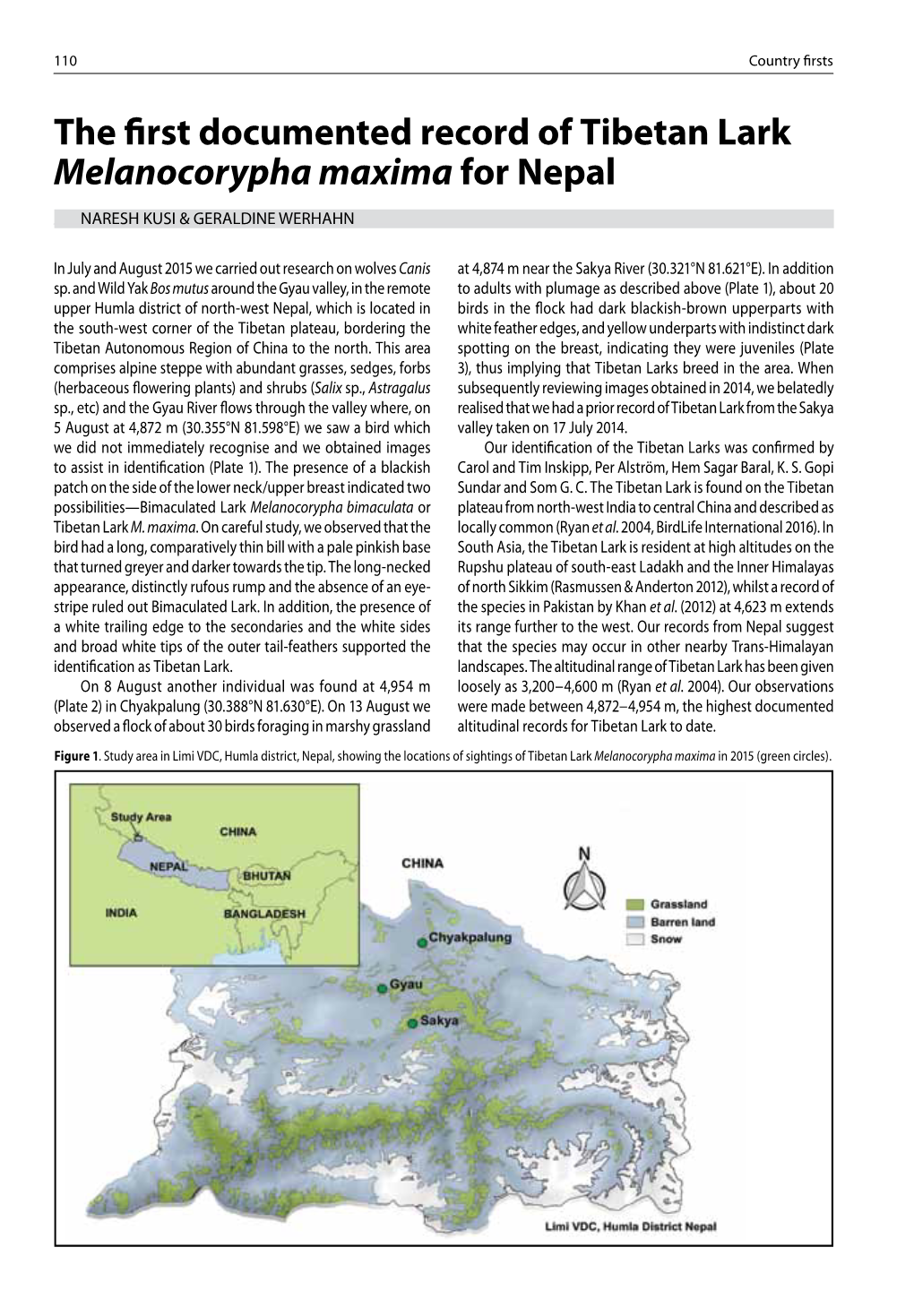 The First Documented Record of Tibetan Lark Melanocorypha Maxima For