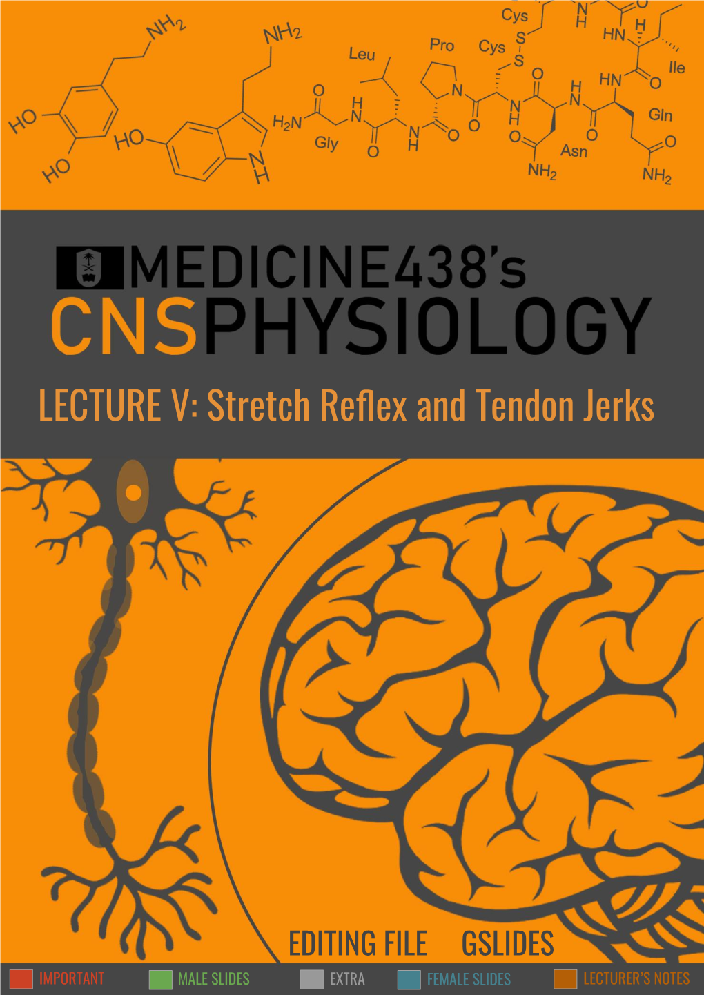 LECTURE V: Stretch Reflex and Tendon Jerks