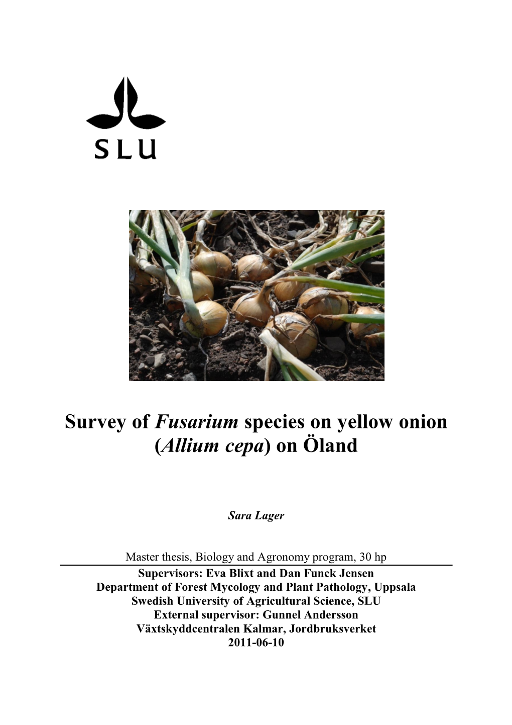 Survey of Fusarium Species on Yellow Onion (Allium Cepa) on Öland