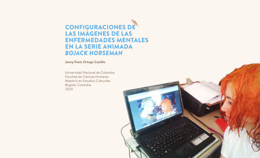 Configuraciones De Las Imágenes De Las Enfermedades Mentales En La Serie Animada Bojack Horseman