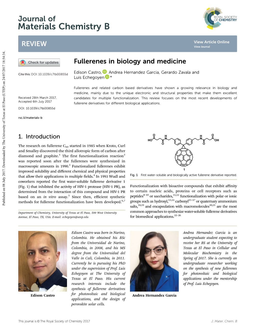 Fullerenes in Biology and Medicine