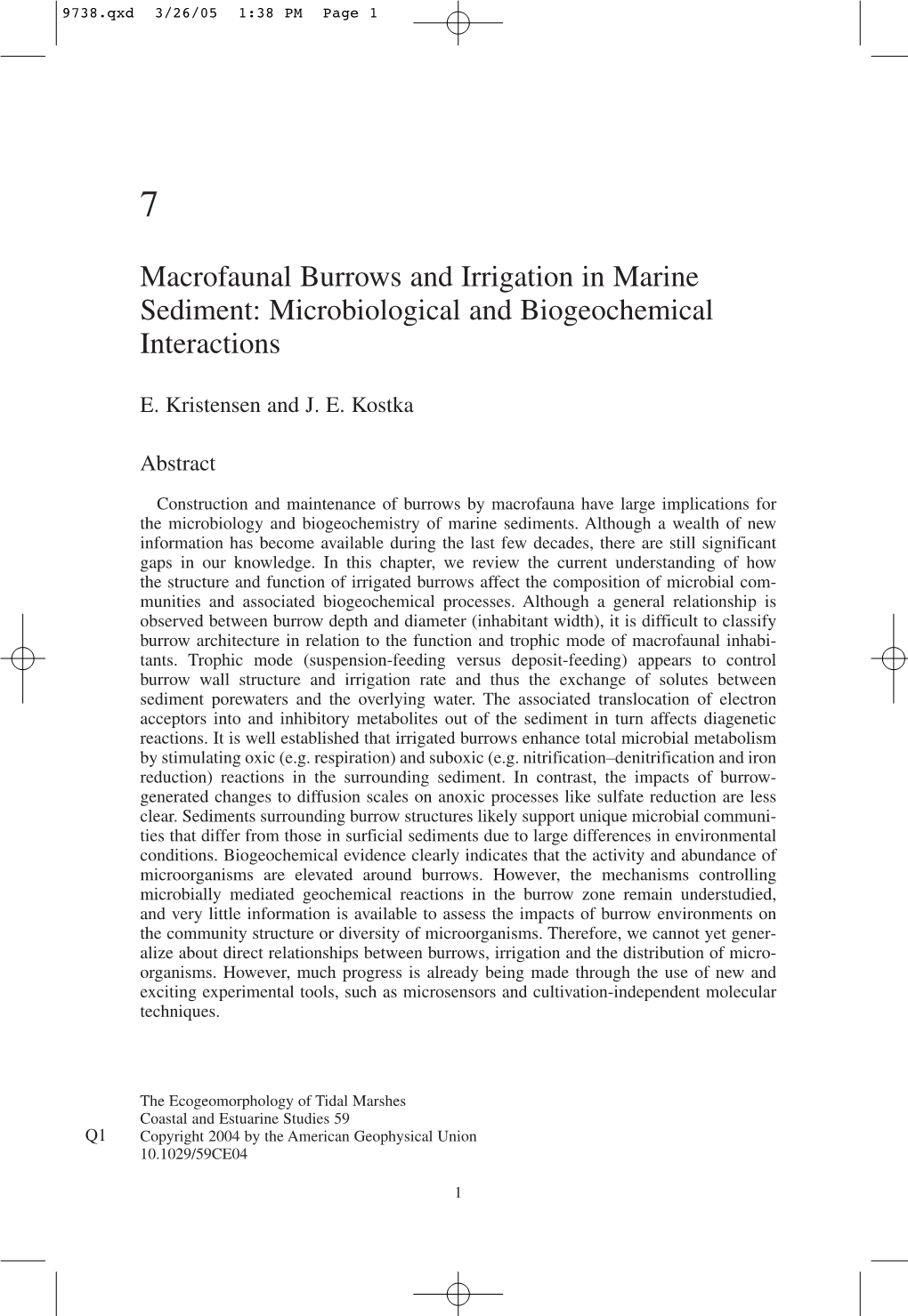 Macrofaunal Burrows and Irrigation in Marine Sediment: Microbiological and Biogeochemical Interactions