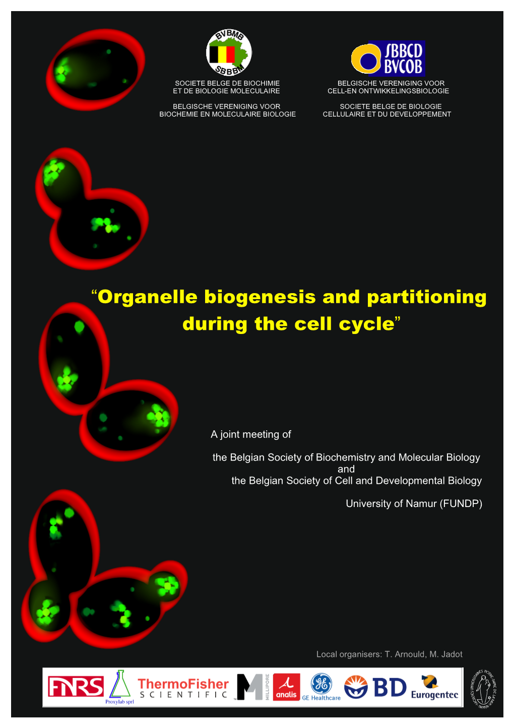 “Organelle Biogenesis and Partitioning During the Cell Cycle”