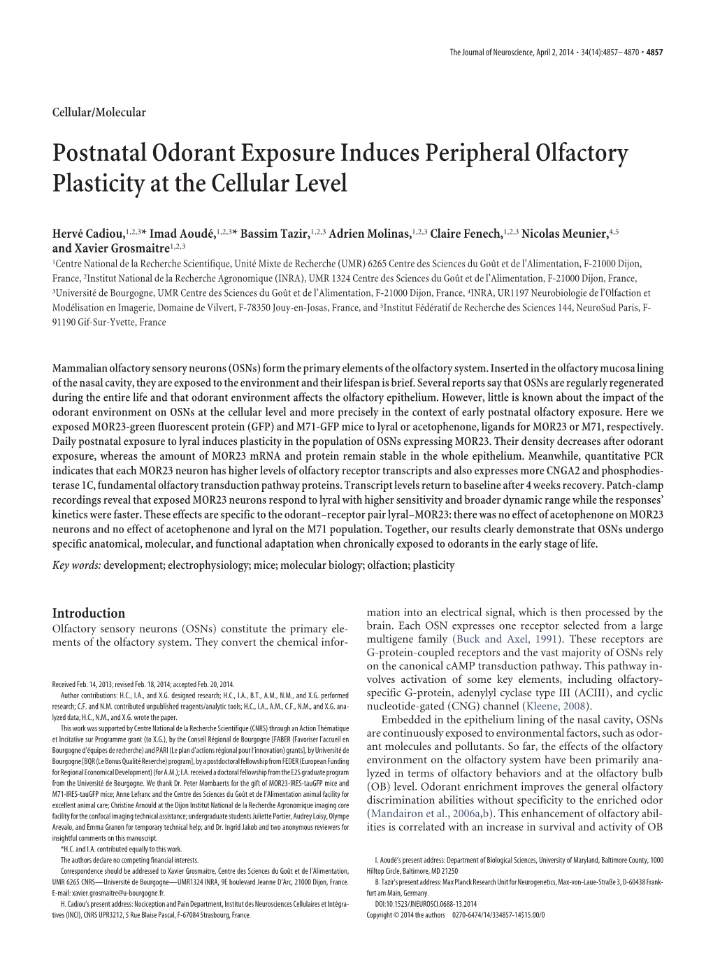 Postnatal Odorant Exposure Induces Peripheral Olfactory Plasticity at the Cellular Level