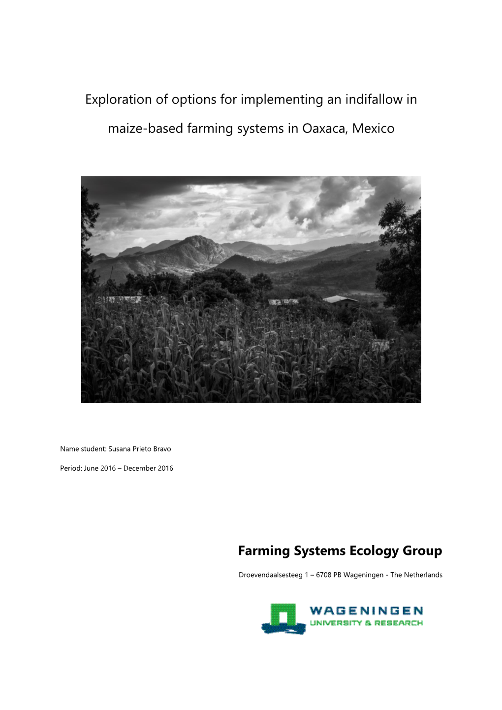 Exploration of Options for Implementing an Indifallow in Maize-Based Farming Systems in Oaxaca, Mexico
