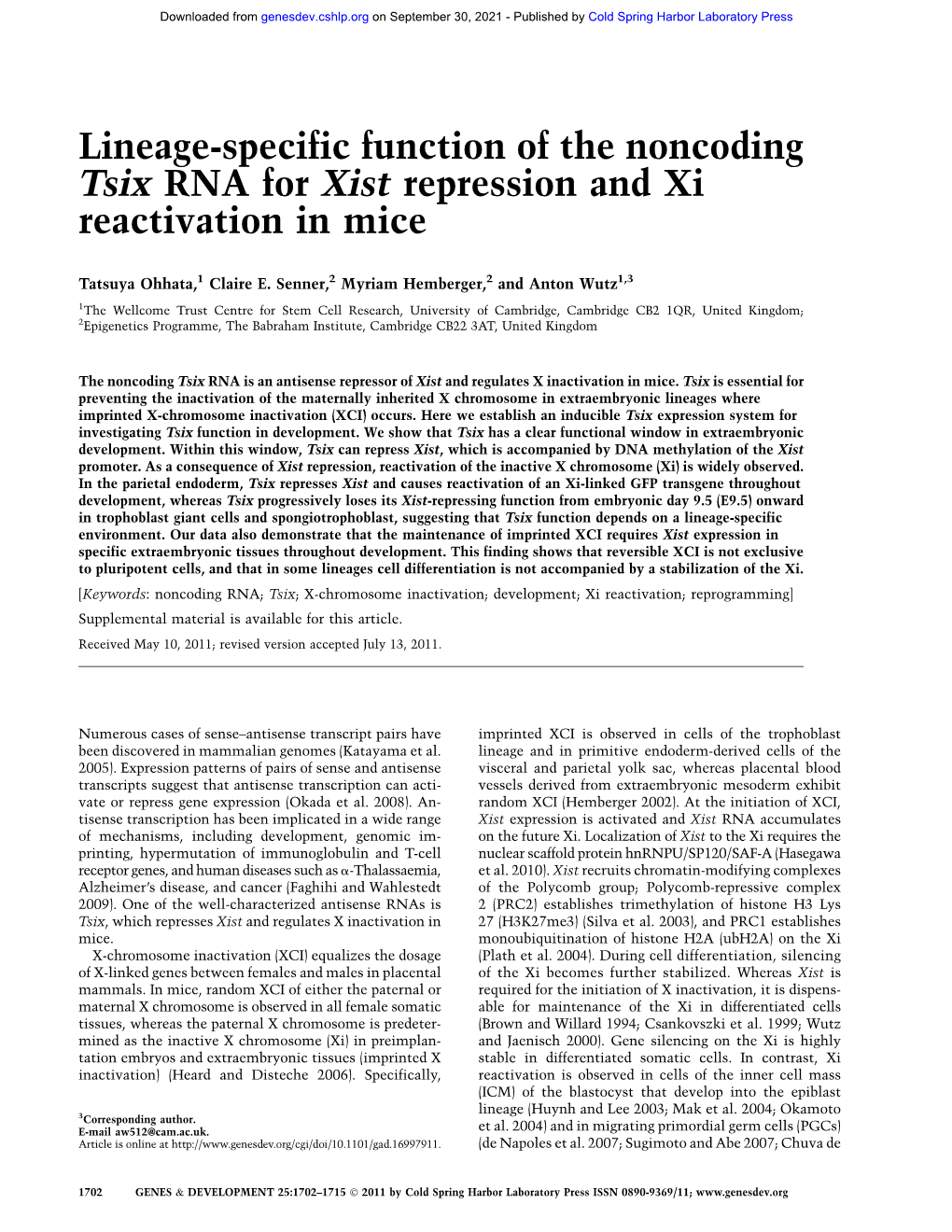 Lineage-Specific Function of the Noncoding Tsix RNA for Xist Repression and Xi Reactivation in Mice
