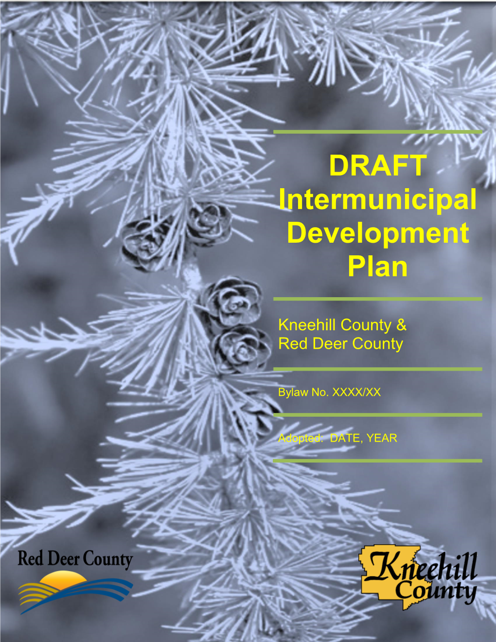 DRAFT Intermunicipal Development Plan