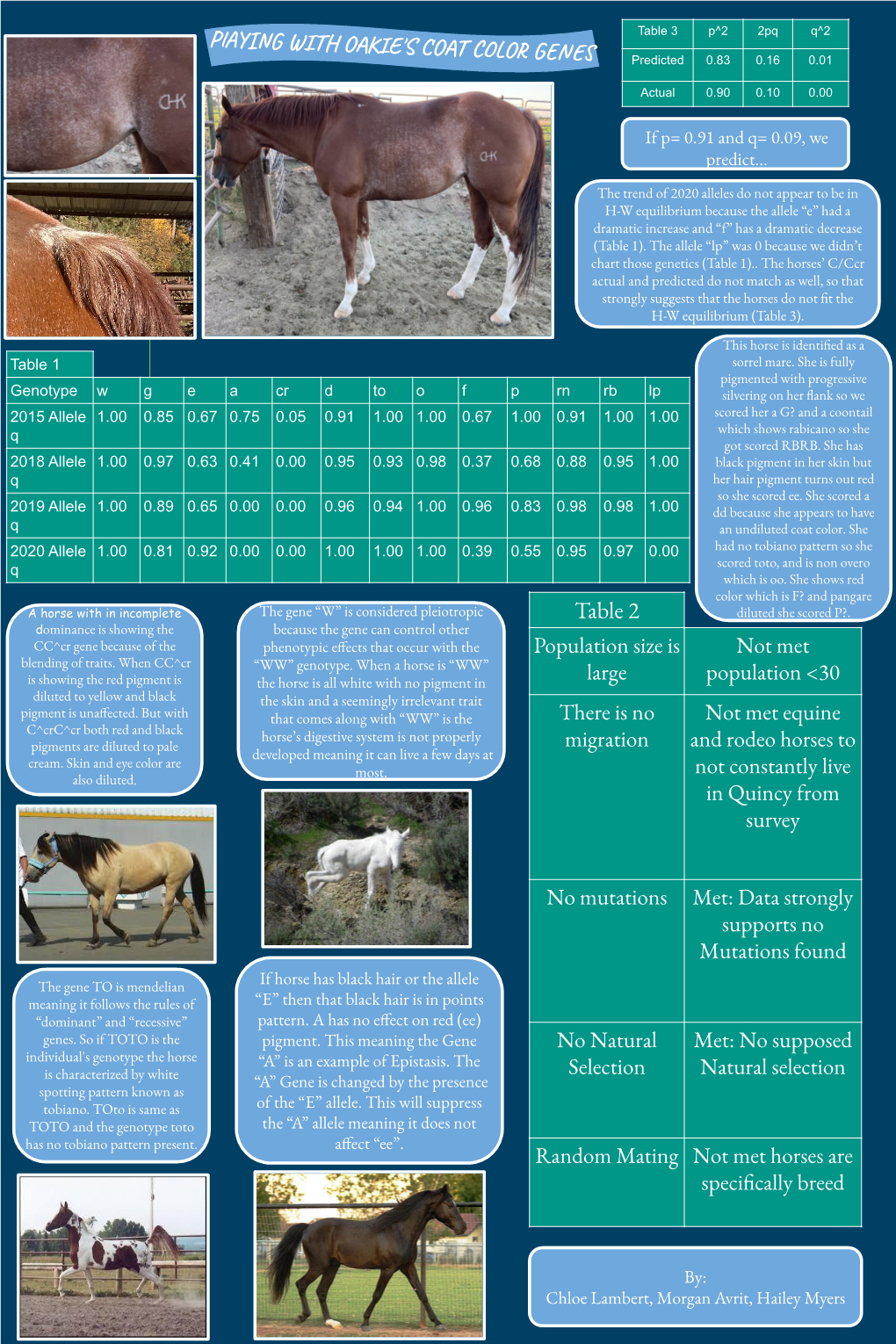 Playing with OAKIE's COAT COLOR GENES Table 2