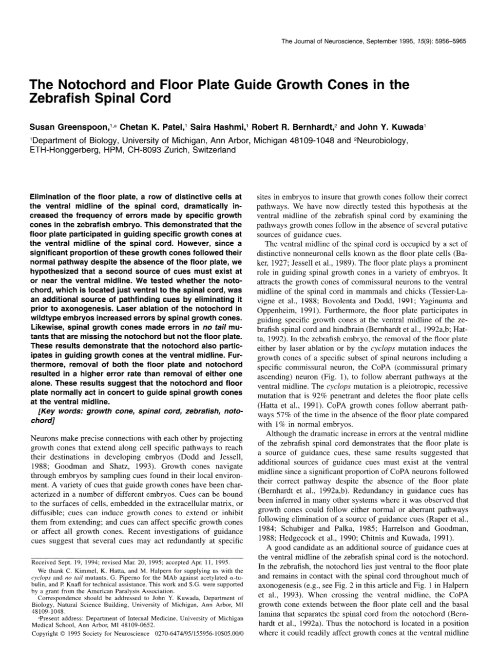 The Notochord and Floor Plate Guide Growth Cones in the Zebrafish Spinal Cord