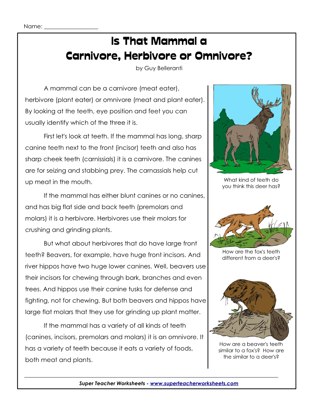 Is That Mammal a Carnivore, Herbivore Or Omnivore? by Guy Belleranti