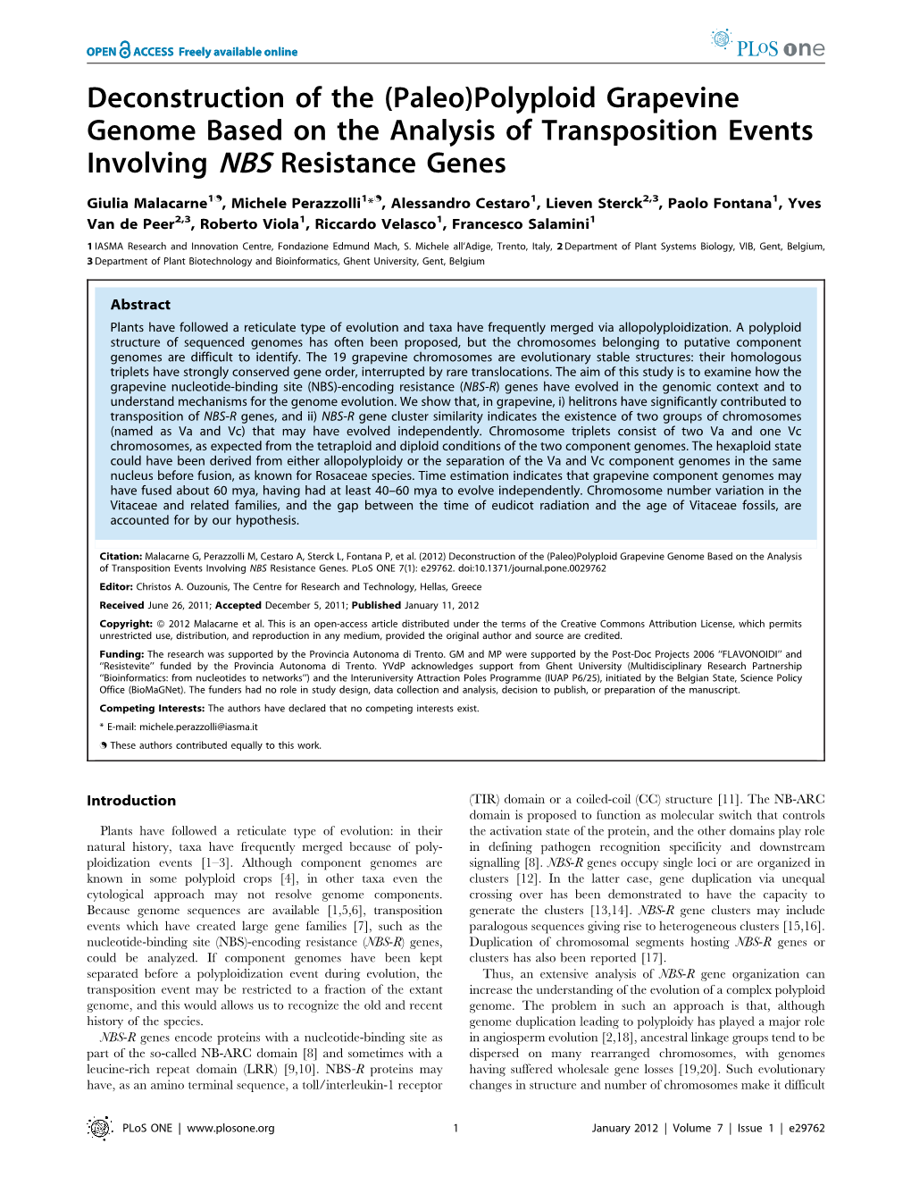 Polyploid Grapevine Genome Based on the Analysis of Transposition Events Involving NBS Resistance Genes