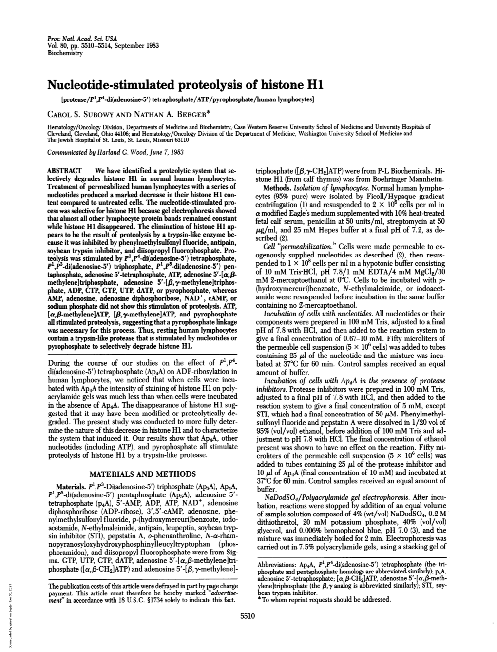 Nucleotide-Stimulated Proteolysis of Histone H1 [Protease/P',P4-Di(Adenosine-5') Tetraphosphate/ATP/Pyrophosphate/Human Lymphocytes] CAROL S