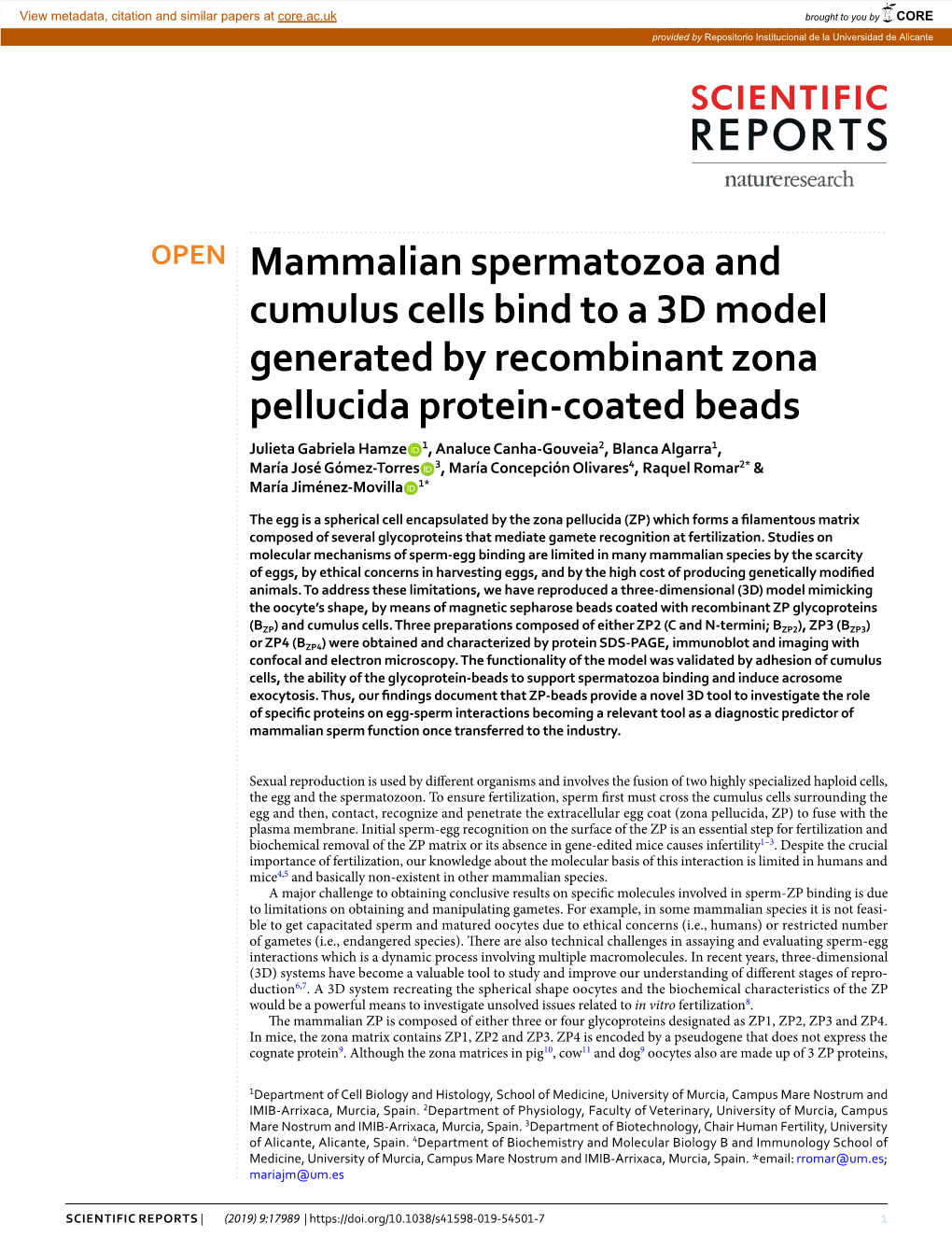 Mammalian Spermatozoa and Cumulus Cells Bind to a 3D