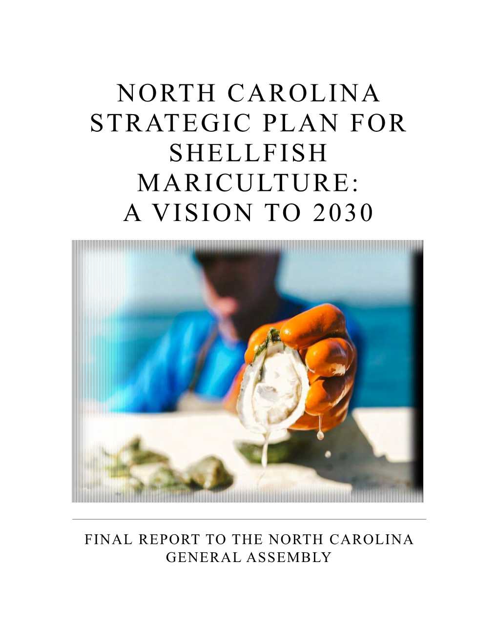 North Carolina Strategic Plan for Shellfish Mariculture: a Vision to 2030
