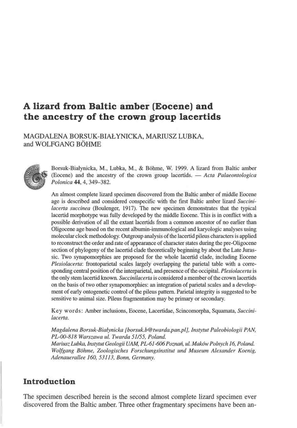Alizard from Baltic Amber (Eocene) and the Ancestry of the Crown Group Lacertids