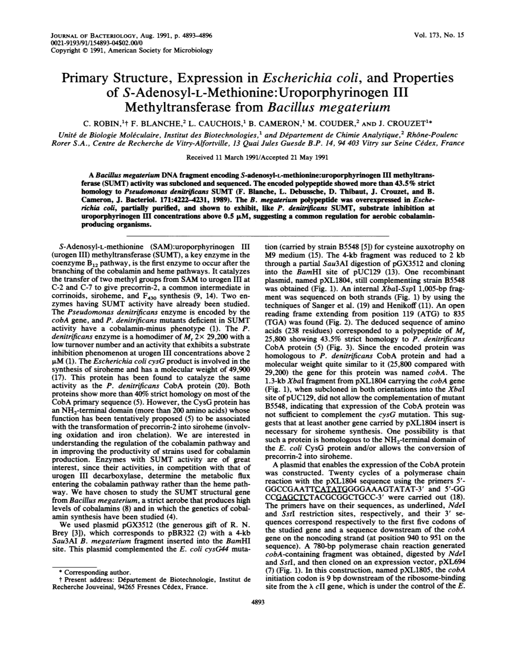 Primary Structure, Expression in Escherichia Coli, and Properties of S-Adenosyl-L-Methionine:Uroporphyrinogen III Methyltransferase from Bacillus Megaterium C