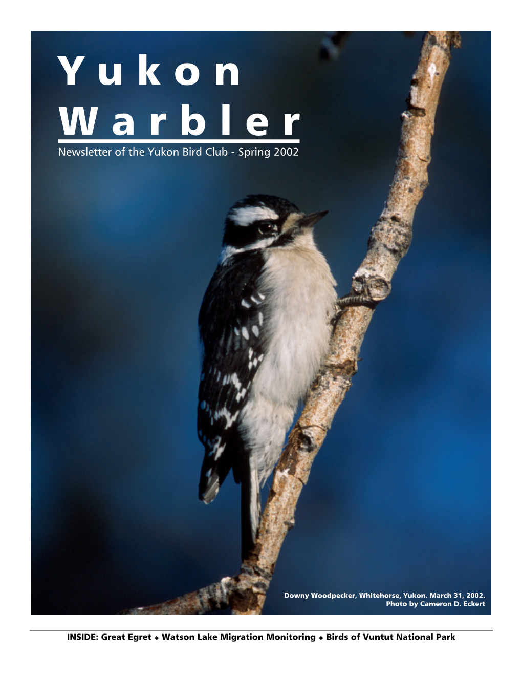 Warbler 2002 Spring
