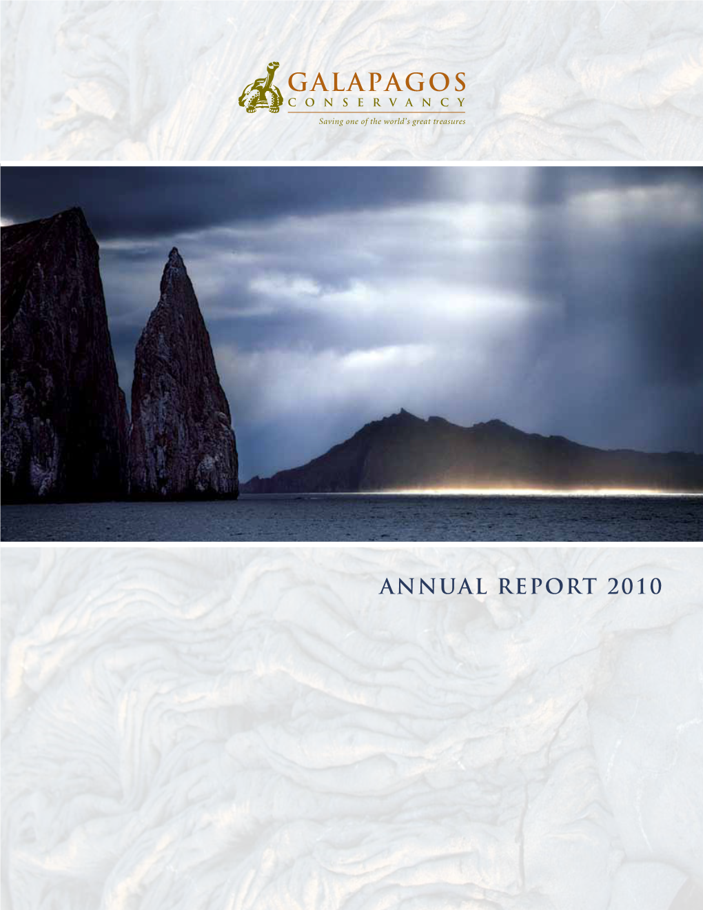 Annual Report 2010