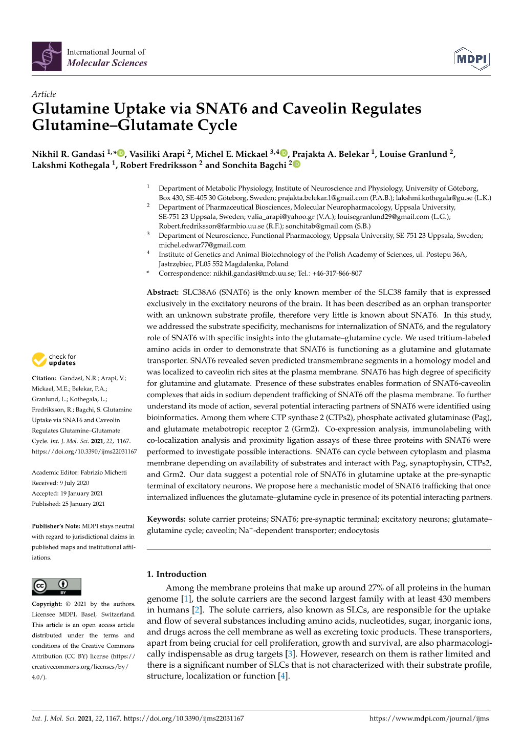 Glutamine Uptake Via SNAT6 and Caveolin Regulates Glutamine–Glutamate Cycle