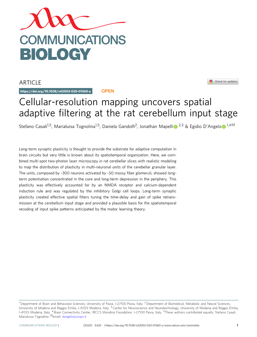 Cellular-Resolution Mapping Uncovers Spatial Adaptive Filtering at the Rat Cerebellum Input Stage
