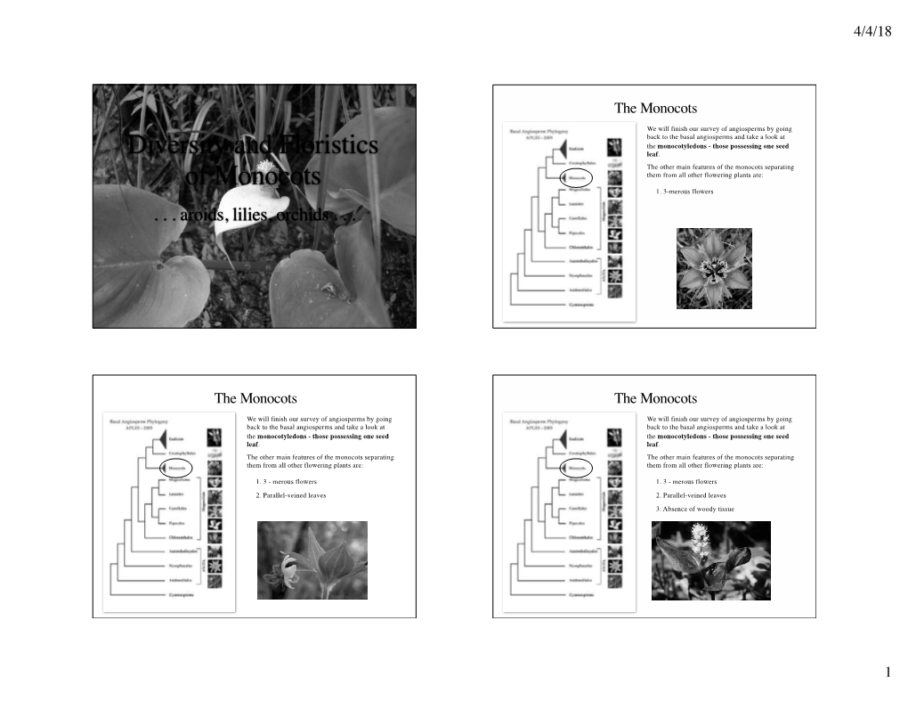 Diversity and Floristics of Monocots