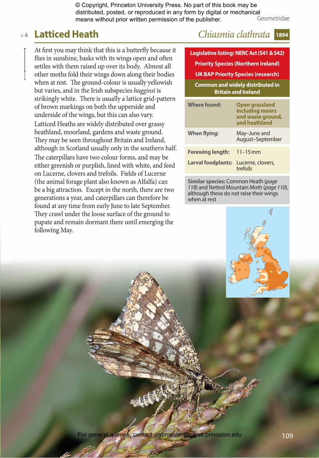 Britainsdfmoths BOOK.Indd 109 14/07/2014 10:01